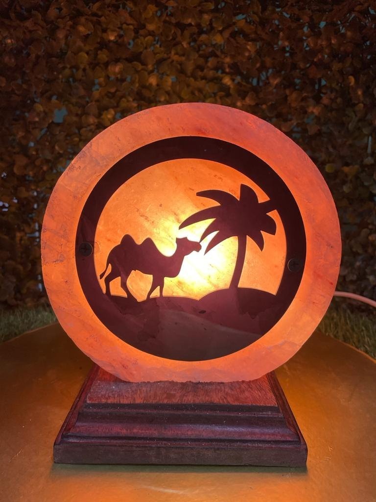 Circular 3D Pink Salt lamp with a wooden camel design glowing warmly.